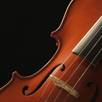 violin detail