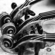 Violins/ Beares Auction